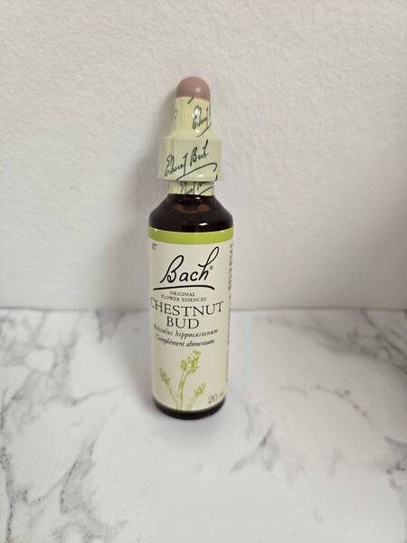 Fleurs de Bach Chestnut Bud 