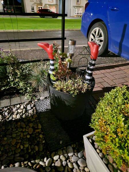 Dragonfly Headquarters 