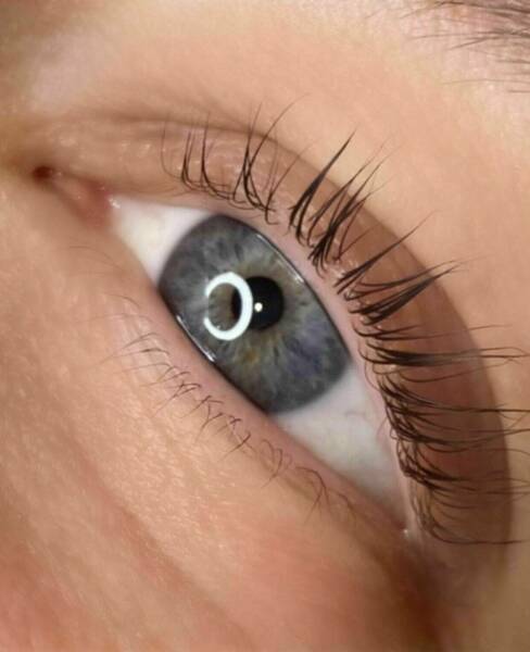 Rehaussement de cils & teinture 