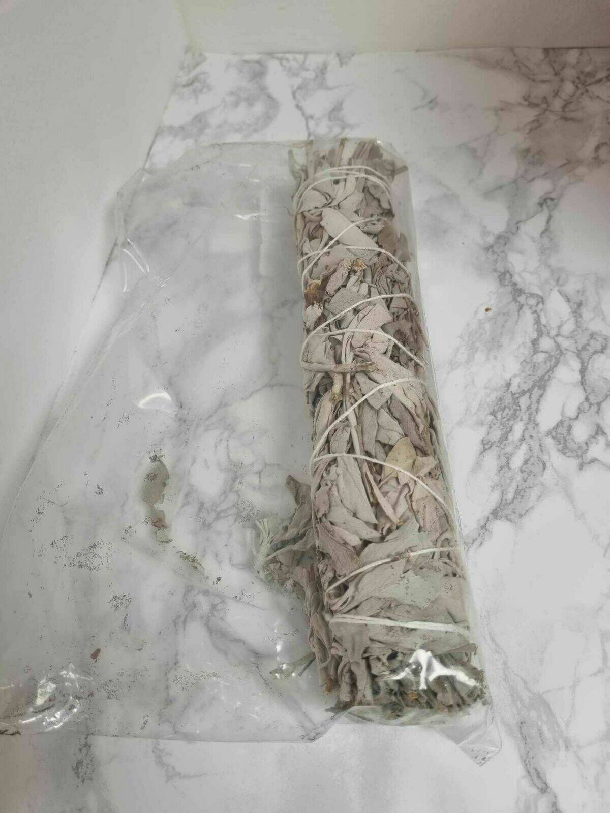 Grande sauge Blanche 