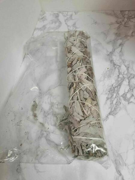 Grande sauge Blanche 