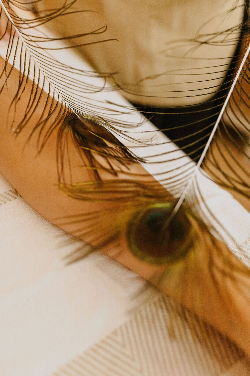 Carte cadeau Évasion egyptienne