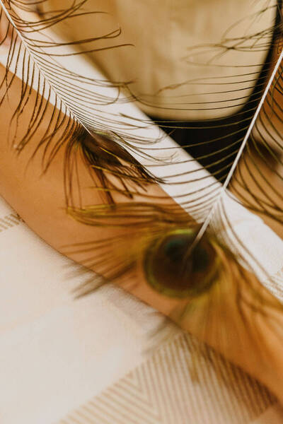 Carte cadeau Évasion egyptienne