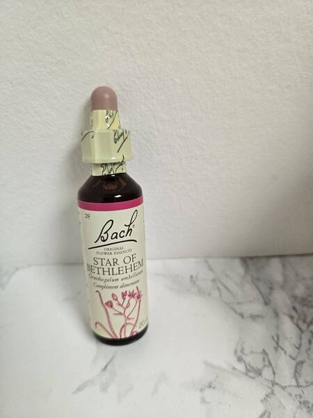 Fleurs de Bach Star of bethlehem 