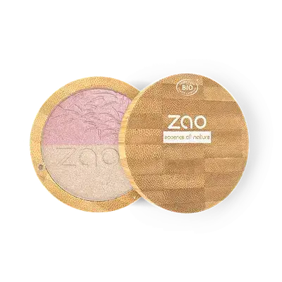 Shine-up powder Duo 311