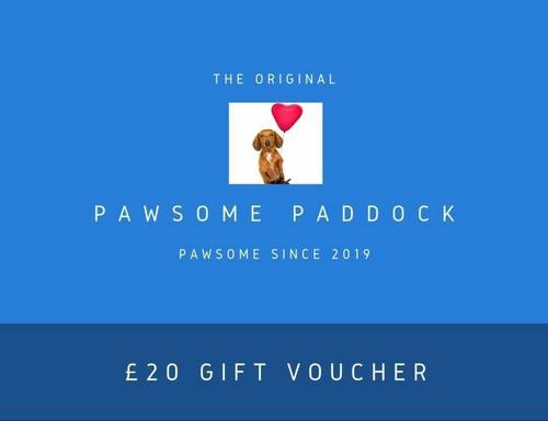 Pawsome Present - 1-4 Dogs