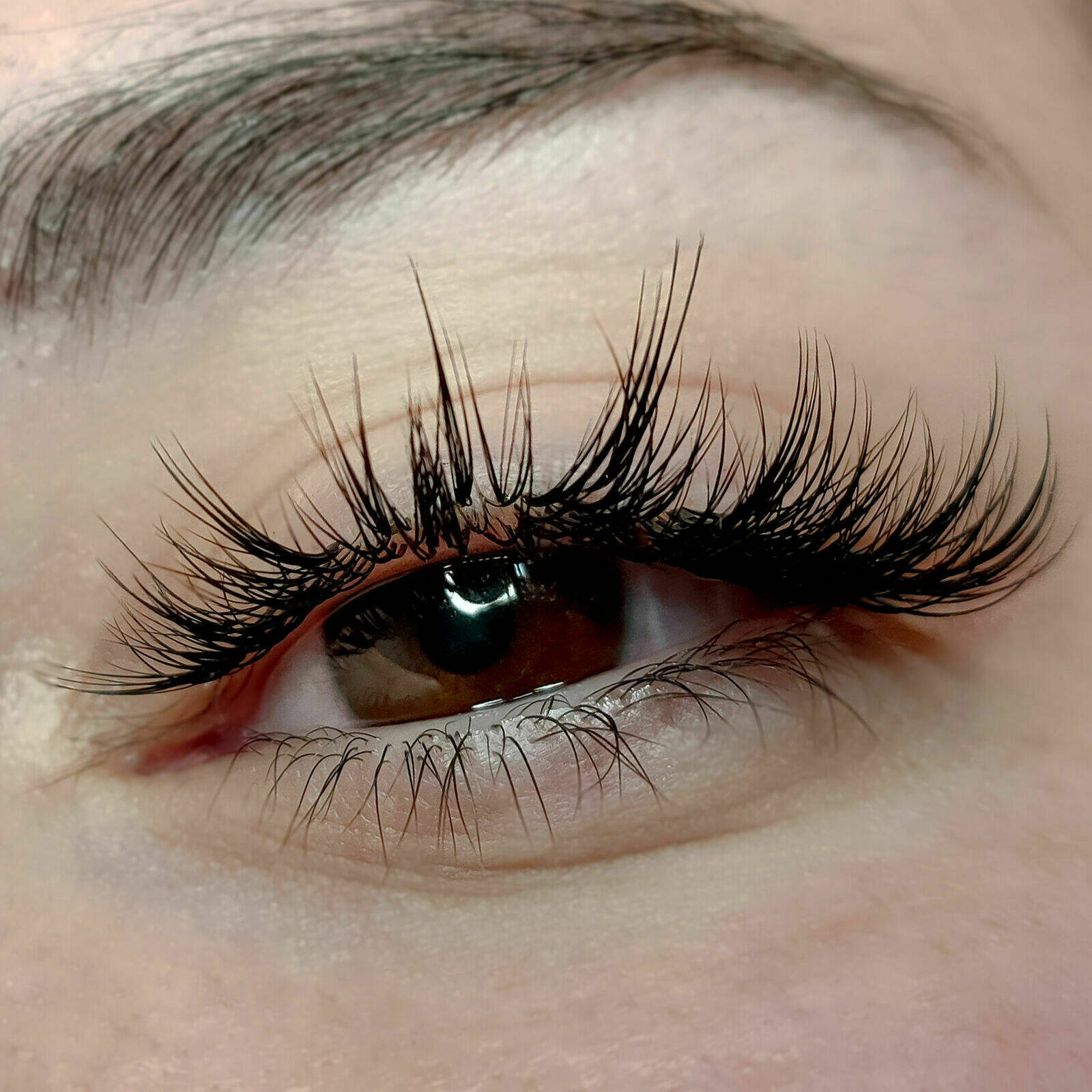 Extensions de cils volume wet look