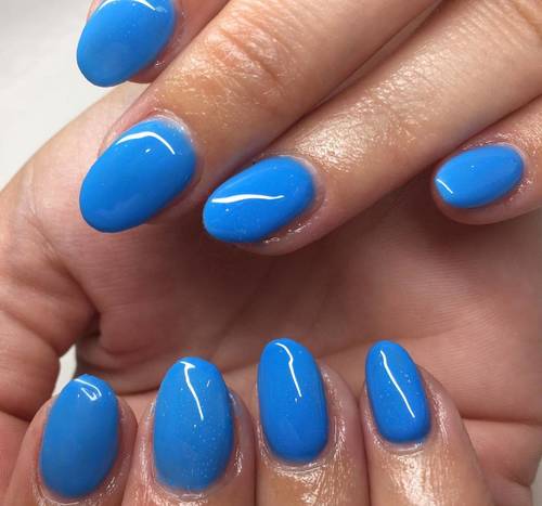 Beautiful deep blue for our Daisy. 