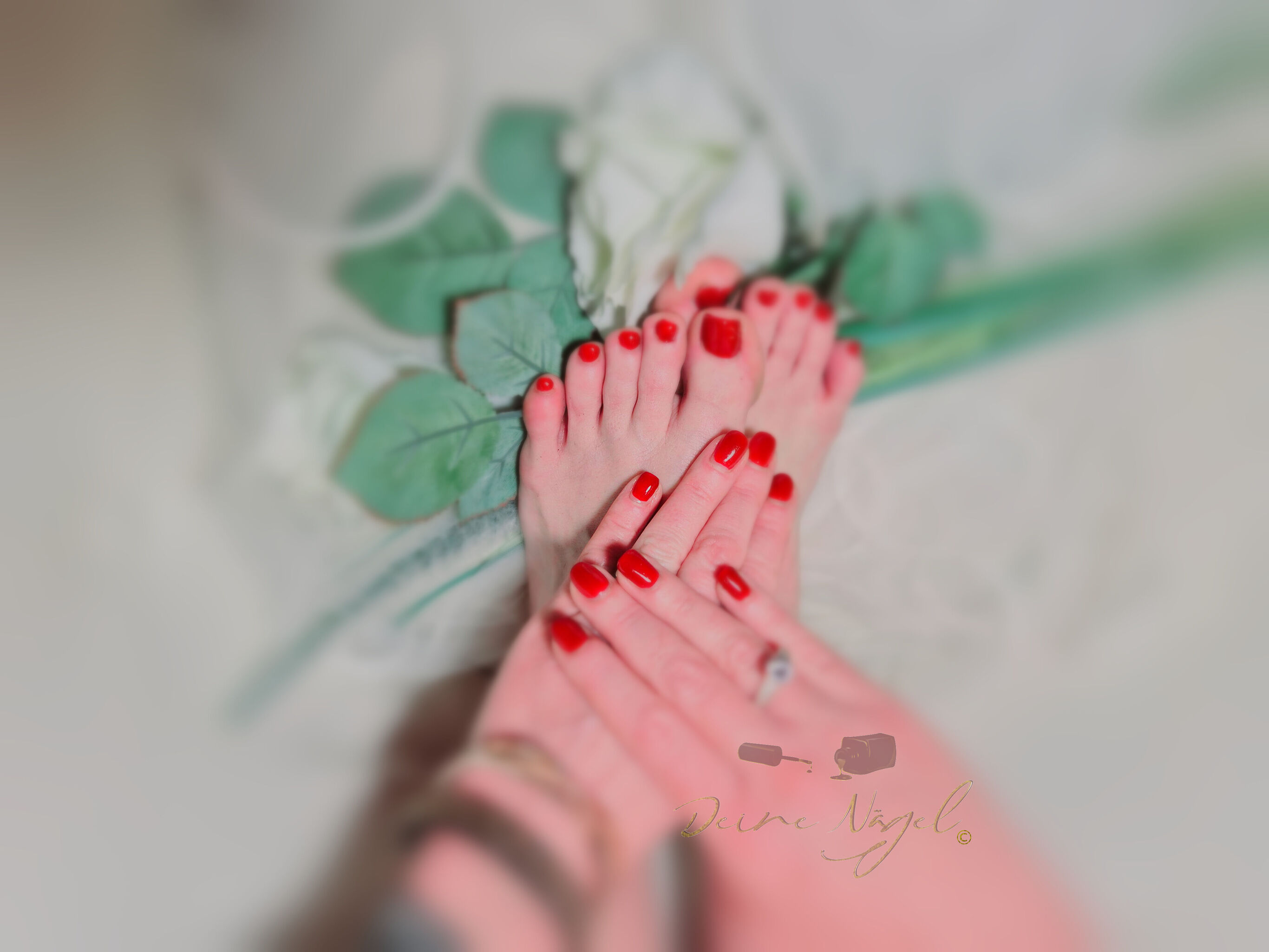 Für weitere Bilder besuche eines meiner Social Media Profile auf der Startseite