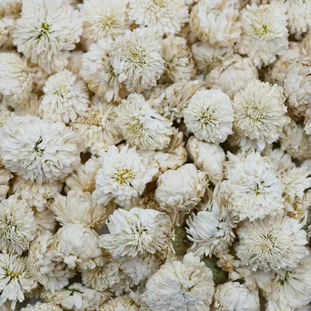 Eau florale de Camomille Romaine Bio 100 ml