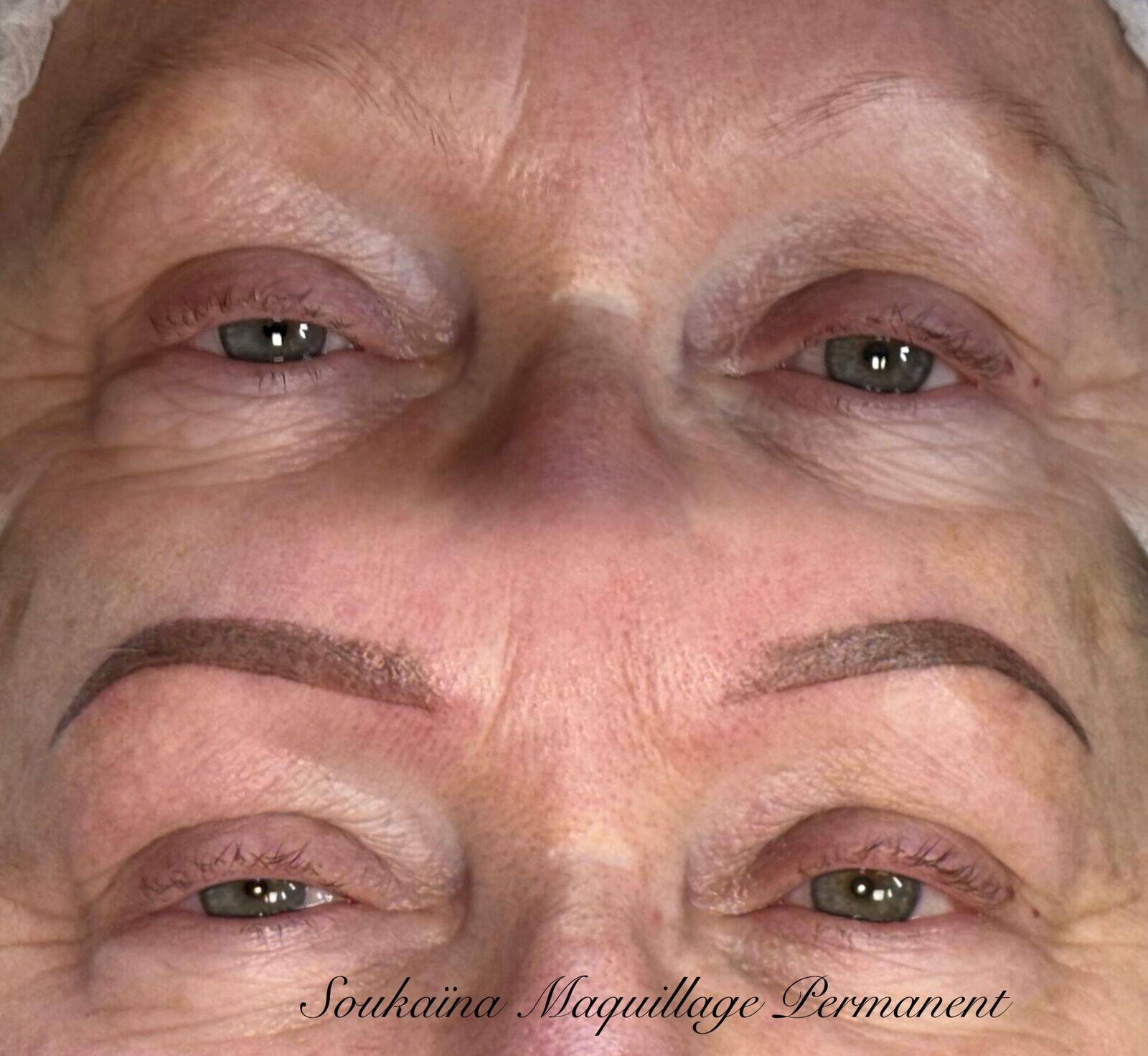 Restructuration complète en Powder-Brows (effet poudré)